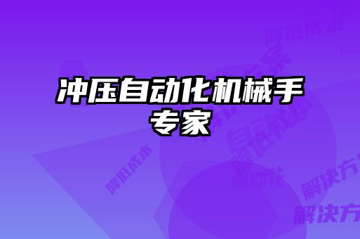 沖壓自動(dòng)化機械手專(zhuān)家