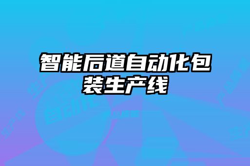 智能后道自動(dòng)化包裝生產(chǎn)線(xiàn)