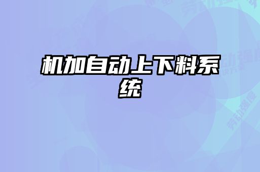 機加自動(dòng)上下料系統
