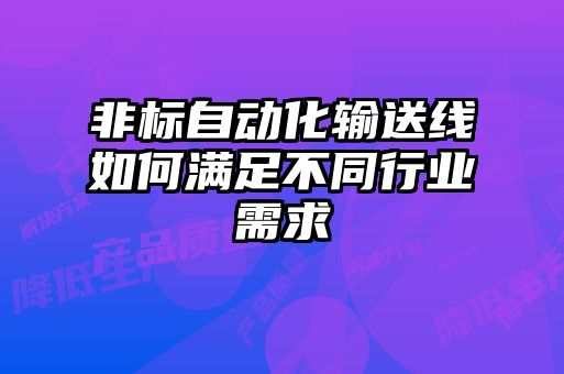 非標自動(dòng)化輸送線(xiàn)如何滿(mǎn)足不同行業(yè)需求