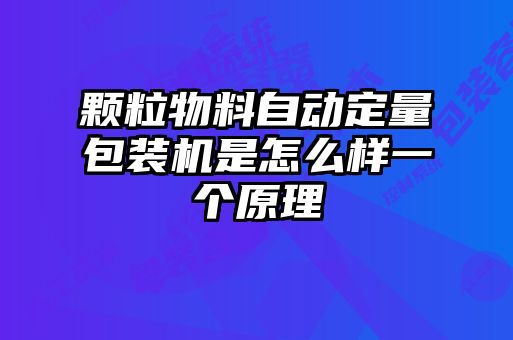 顆粒物料自動(dòng)定量包裝機是怎么樣一個(gè)原理