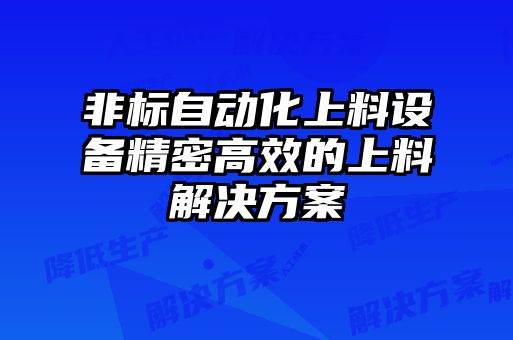 非標自動(dòng)化上料設備精密高效的上料解決方案