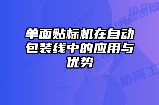 單面貼標機在自動(dòng)包裝線(xiàn)中的應用與優(yōu)勢