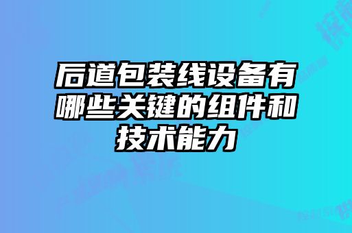 后道包裝線(xiàn)設備有哪些關(guān)鍵的組件和技術(shù)能力