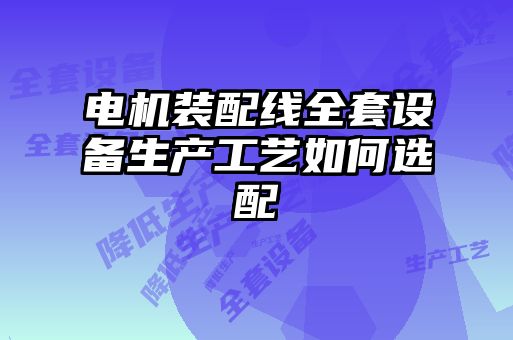 電機裝配線(xiàn)全套設備生產(chǎn)工藝如何選配