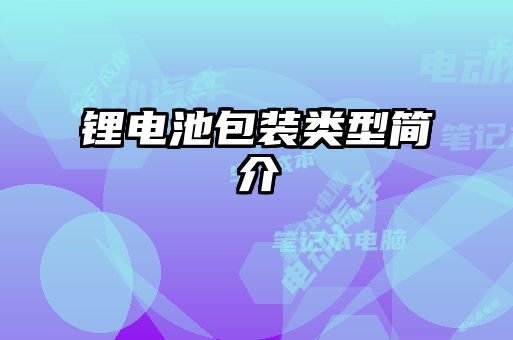 鋰電池包裝類(lèi)型簡(jiǎn)介