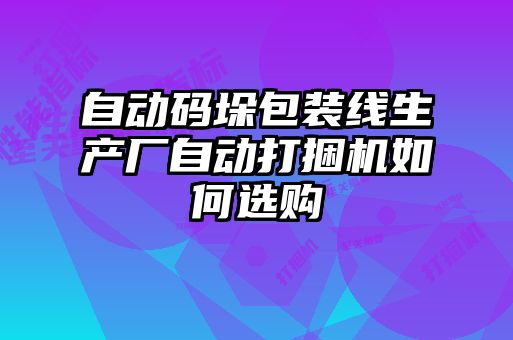 自動(dòng)碼垛包裝線(xiàn)生產(chǎn)廠(chǎng)自動(dòng)打捆機如何選購