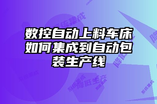 數控自動(dòng)上料車(chē)床如何集成到自動(dòng)包裝生產(chǎn)線(xiàn)