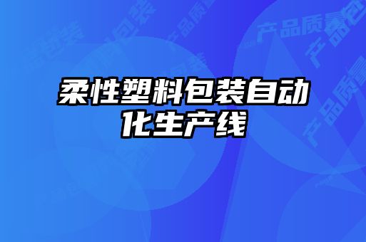 柔性塑料包裝自動(dòng)化生產(chǎn)線(xiàn)