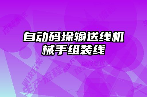 自動(dòng)碼垛輸送線(xiàn)機械手組裝線(xiàn)