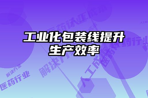 工業(yè)化包裝線(xiàn)提升生產(chǎn)效率