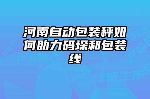 河南自動(dòng)包裝秤如何助力碼垛和包裝線(xiàn)