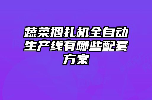 蔬菜捆扎機全自動(dòng)生產(chǎn)線(xiàn)有哪些配套方案