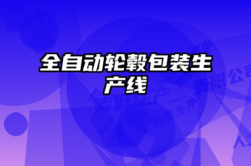 全自動(dòng)輪轂包裝生產(chǎn)線(xiàn)