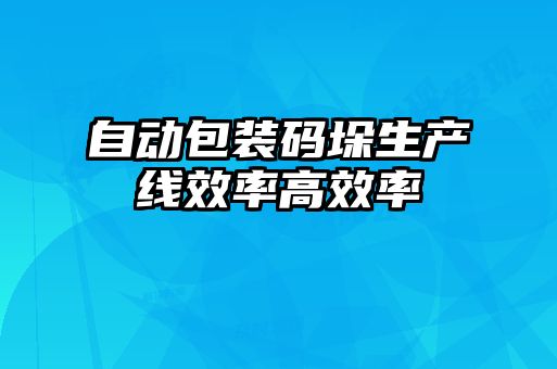 自動(dòng)包裝碼垛生產(chǎn)線(xiàn)效率高效率