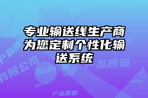 專(zhuān)業(yè)輸送線(xiàn)生產(chǎn)商為您定制個(gè)性化輸送系統