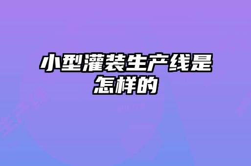 小型灌裝生產(chǎn)線(xiàn)是怎樣的