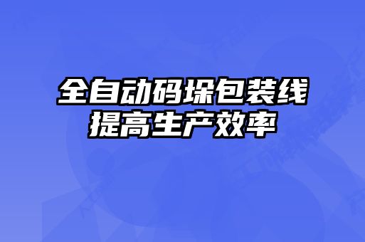 全自動(dòng)碼垛包裝線(xiàn)提高生產(chǎn)效率