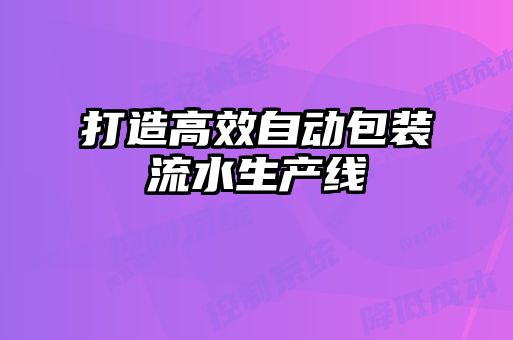 打造高效自動(dòng)包裝流水生產(chǎn)線(xiàn)