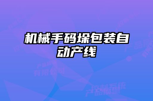 機械手碼垛包裝自動(dòng)產(chǎn)線(xiàn)