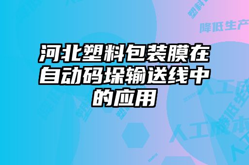 河北塑料包裝膜在自動(dòng)碼垛輸送線(xiàn)中的應用