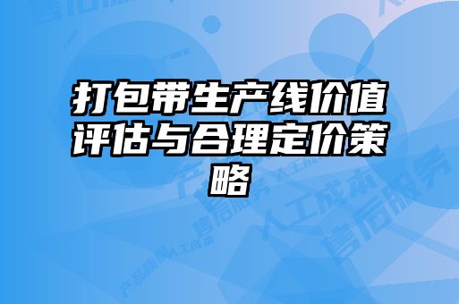 打包帶生產(chǎn)線(xiàn)價(jià)值評估與合理定價(jià)策略