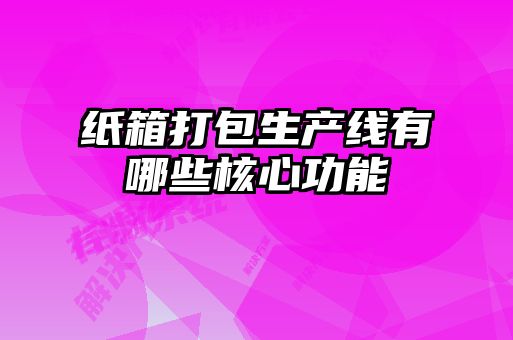 紙箱打包生產(chǎn)線(xiàn)有哪些核心功能