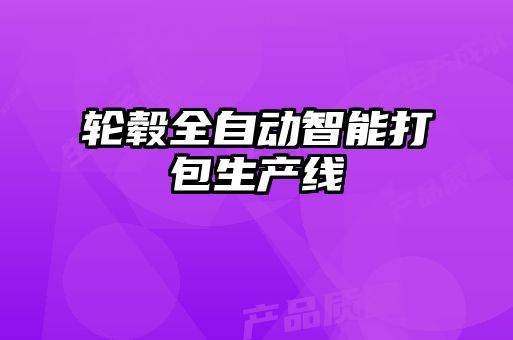 輪轂全自動(dòng)智能打包生產(chǎn)線(xiàn)