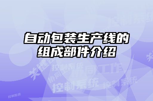 自動(dòng)包裝生產(chǎn)線(xiàn)的組成部件介紹