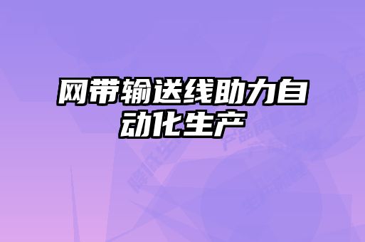 網(wǎng)帶輸送線(xiàn)助力自動(dòng)化生產(chǎn)