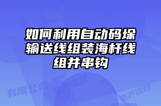 如何利用自動(dòng)碼垛輸送線(xiàn)組裝海桿線(xiàn)組并串鉤
