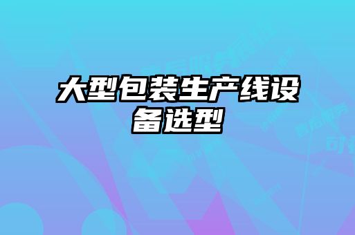 大型包裝生產(chǎn)線(xiàn)設備選型