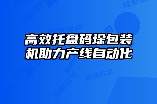 高效托盤(pán)碼垛包裝機助力產(chǎn)線(xiàn)自動(dòng)化