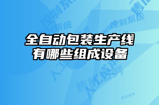 全自動(dòng)包裝生產(chǎn)線(xiàn)有哪些組成設備