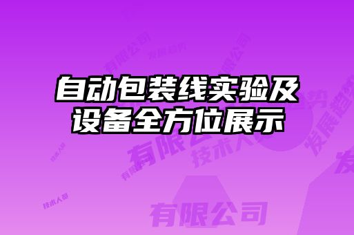 自動(dòng)包裝線(xiàn)實(shí)驗及設備全方位展示