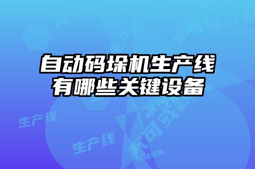 自動(dòng)碼垛機生產(chǎn)線(xiàn)有哪些關(guān)鍵設備