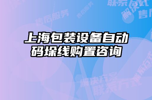 上海包裝設備自動(dòng)碼垛線(xiàn)購置咨詢(xún)
