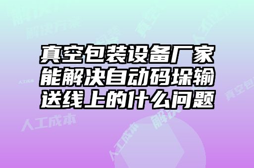 真空包裝設備廠(chǎng)家能解決自動(dòng)碼垛輸送線(xiàn)上的什么問(wèn)題