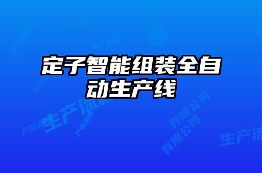 定子智能組裝全自動(dòng)生產(chǎn)線(xiàn)