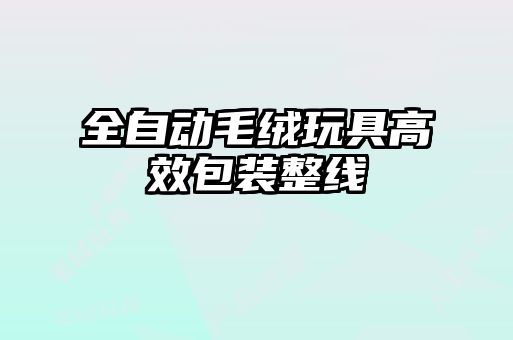 全自動(dòng)毛絨玩具高效包裝整線(xiàn)
