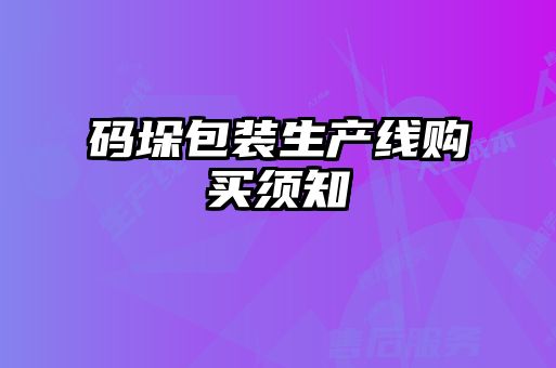 碼垛包裝生產(chǎn)線(xiàn)購買(mǎi)須知