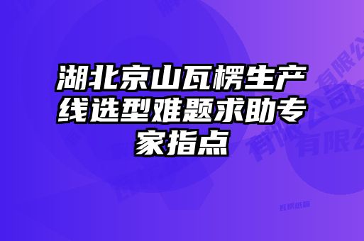 湖北京山瓦楞生產(chǎn)線(xiàn)選型難題求助專(zhuān)家指點(diǎn)