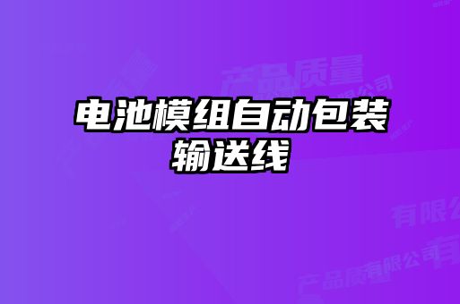 電池模組自動(dòng)包裝輸送線(xiàn)