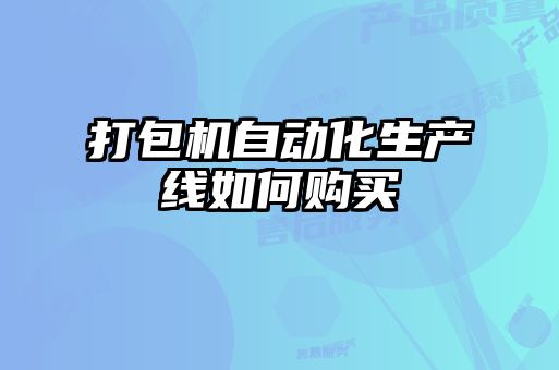 打包機自動(dòng)化生產(chǎn)線(xiàn)如何購買(mǎi)