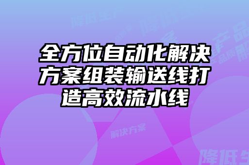 全方位自動(dòng)化解決方案組裝輸送線(xiàn)打造高效流水線(xiàn)