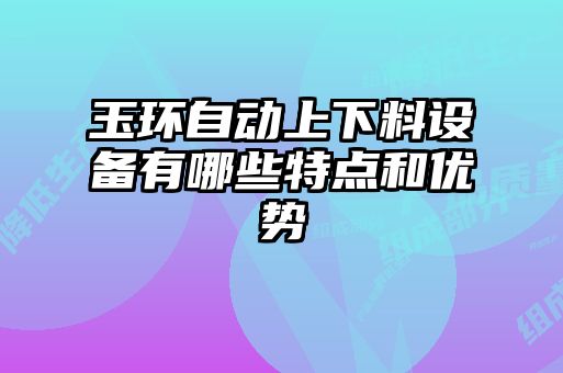玉環(huán)自動(dòng)上下料設備有哪些特點(diǎn)和優(yōu)勢