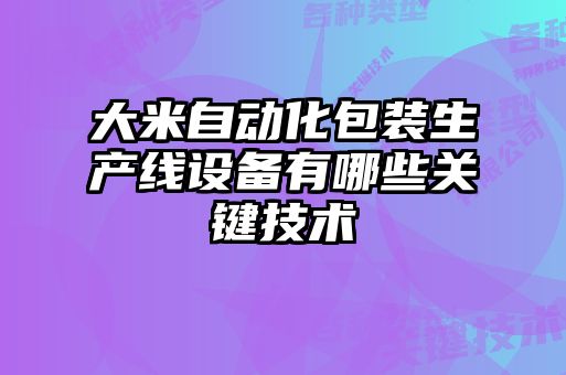 大米自動(dòng)化包裝生產(chǎn)線(xiàn)設備有哪些關(guān)鍵技術(shù)