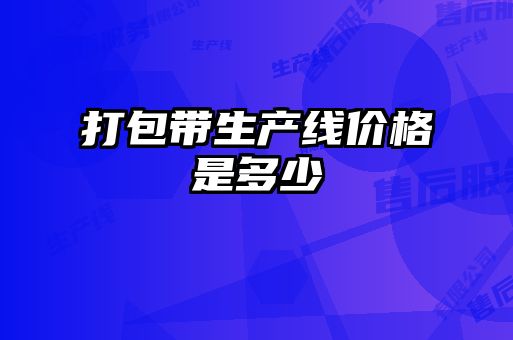 打包帶生產(chǎn)線(xiàn)價(jià)格是多少