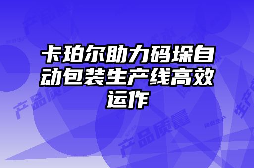 卡珀爾助力碼垛自動(dòng)包裝生產(chǎn)線(xiàn)高效運作