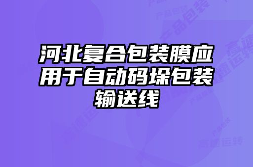河北復合包裝膜應用于自動(dòng)碼垛包裝輸送線(xiàn)